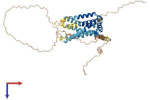 AlphaFold protein structure predicition of Human Recombinant GPR142 Protein, UniprotID Q7Z601