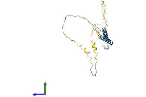 AlphaFold protein structure predicition of Human Recombinant C10orf62 Protein, UniprotID Q5T681