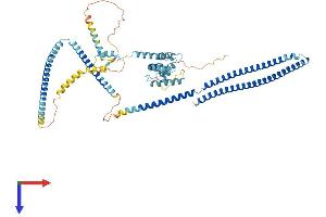 AlphaFold protein structure predicition of Human Recombinant CCDC93 Protein, UniprotID Q567U6