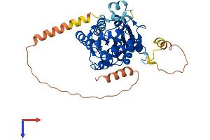 AlphaFold protein structure predicition of Human Recombinant METTL15 Protein, UniprotID A6NJ78