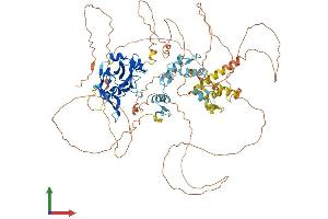 AlphaFold protein structure predicition of Human Recombinant PRDM1 Protein, UniprotID O75626