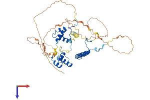 AlphaFold protein structure predicition of Mouse Recombinant Rcor3 Protein, UniprotID Q6PGA0