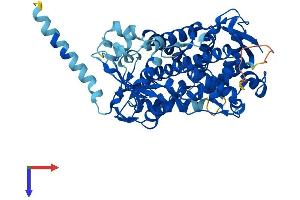 AlphaFold protein structure predicition of Human Recombinant CYP2D7 Protein, UniprotID A0A087X1C5