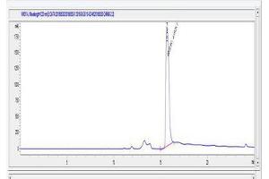 Image no. 1 for Cholinergic Receptor, Muscarinic 3 (CHRM3) peptide (Ovalbumin) (ABIN5666122) (Cholinergic Receptor, Muscarinic 3 (CHRM3) peptide (Ovalbumin))