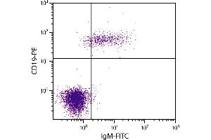 Human peripheral blood lymphocytes were stained with Goat Anti-Human IgM-FITC and Mouse Anti-Human CD19-PE. (Chèvre anti-Humain IgM (Heavy Chain) Anticorps (FITC))
