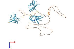 AlphaFold protein structure predicition of Mouse Recombinant Tardbp Protein, UniprotID Q921F2
