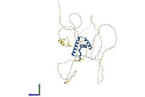 AlphaFold protein structure predicition of Human Recombinant SOX11 Protein, UniprotID P35716