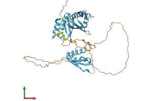 AlphaFold protein structure predicition of Human Recombinant PCBP2 Protein, UniprotID Q15366