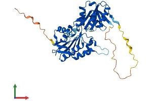 AlphaFold protein structure predicition of Human Recombinant PRPSAP2 Protein, UniprotID O60256