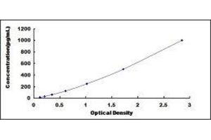Insulin-Like Growth Factor Binding Protein 5 (IGFBP5) ELISA Kit