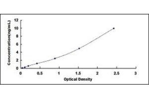 Typical standard curve (ADAM22 Kit ELISA)