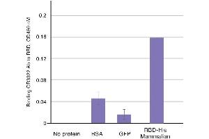 Binding of CR3022 to RBD by ELISA. (SARS-CoV-2 anticorps)