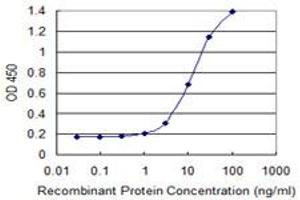 Detection limit for recombinant GST tagged GALNT1 is 0.