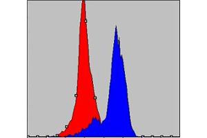 Flow cytometric analysis of K562 cells using COX4I1 mouse mAb (blue) and negative control (red). (COX IV anticorps)