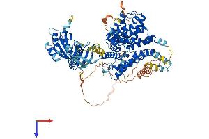 AlphaFold protein structure predicition of Mouse Recombinant Pde8a Protein, UniprotID O88502