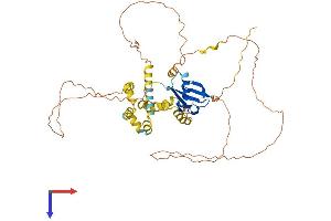 Ubiquilin-Like (UBQLNL) (AA 1-475) protein (His tag)