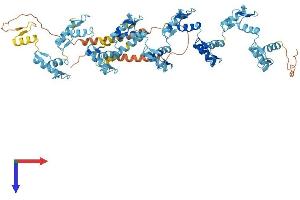 AlphaFold protein structure predicition of Human Recombinant ZNF234 Protein, UniprotID Q14588