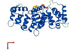 AlphaFold protein structure predicition of Mouse Recombinant Anxa8 Protein, UniprotID O35640
