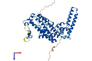 AlphaFold protein structure predicition of Human Recombinant TDO2 Protein, UniprotID P48775