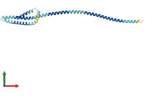 AlphaFold protein structure predicition of Human Recombinant BCAP29 Protein, UniprotID Q9UHQ4