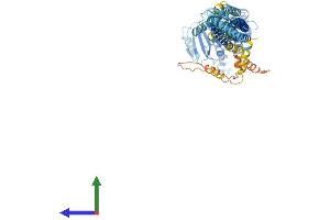 AlphaFold protein structure predicition of Mouse Recombinant Mfn2 Protein, UniprotID Q80U63