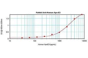 Image no. 1 for anti-Apolipoprotein E (APOE) antibody (ABIN465189) (APOE anticorps)