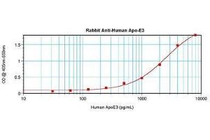 Image no. 1 for anti-Apolipoprotein E (APOE) antibody (ABIN465190) (APOE anticorps)