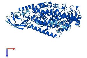 AlphaFold protein structure predicition of Human Recombinant ALOX15B Protein, UniprotID O15296