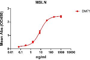 ELISA plate pre-coated by 2 μg/mL (100 μL/well) Human MSLN protein, mFc-His tagged protein (ABIN6961104) can bind Rabbit anti-MSLN monoclonal antibody (clone: DM71) in a linear range of 1-100 ng/mL. (Recombinant Mesothelin anticorps  (AA 296-580))