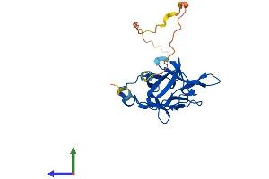 AlphaFold protein structure predicition of Mouse Recombinant Fgf20 Protein, UniprotID Q9ESL9