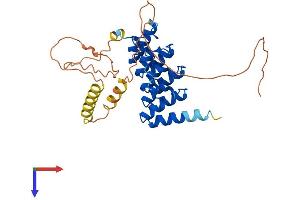 AlphaFold protein structure predicition of Human Recombinant ANKRA2 Protein, UniprotID Q9H9E1