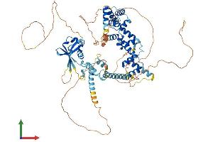 AlphaFold protein structure predicition of Mouse Recombinant Satb2 Protein, UniprotID Q8VI24