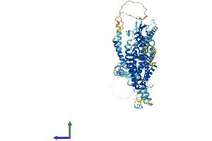 AlphaFold protein structure predicition of Human Recombinant ATP6V0A2 Protein, UniprotID Q9Y487
