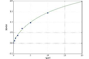Histamine Receptor H4 (HRH4) ELISA Kit