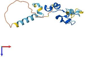 AlphaFold protein structure predicition of Mouse Recombinant Nanos2 Protein, UniprotID P60322