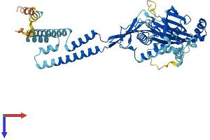 AlphaFold protein structure predicition of Mouse Recombinant Asic5 Protein, UniprotID Q9R0Y1
