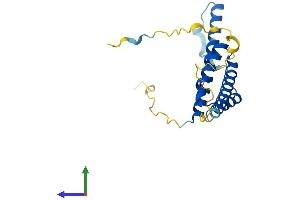 AlphaFold protein structure predicition of Mouse Recombinant Rd3 Protein, UniprotID Q8BRE0