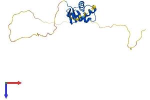 AlphaFold protein structure predicition of Mouse Recombinant H1-0 Protein, UniprotID P10922