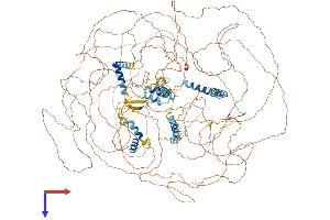 AlphaFold protein structure predicition of Mouse Recombinant Npat Protein, UniprotID Q8BMA5