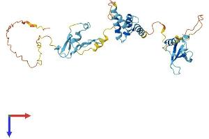 AlphaFold protein structure predicition of Human Recombinant CD2BP2 Protein, UniprotID O95400