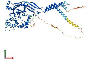 AlphaFold protein structure predicition of Human Recombinant ASIC3 Protein, UniprotID Q9UHC3