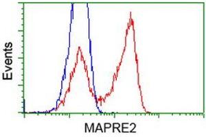 HEK293T cells transfected with either RC200259 overexpress plasmid (Red) or empty vector control plasmid (Blue) were immunostained by anti-MAPRE2 antibody (ABIN2454593), and then analyzed by flow cytometry. (MAPRE2 anticorps)