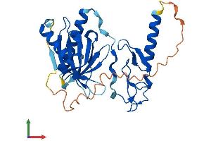 AlphaFold protein structure predicition of Mouse Recombinant Plekhf1 Protein, UniprotID Q3TB82