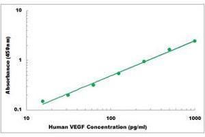 Representative Standard Curve (VEGF Kit ELISA)