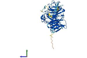 AlphaFold protein structure predicition of Mouse Recombinant Coro2b Protein, UniprotID Q8BH44