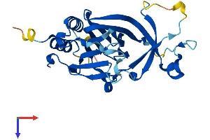 AlphaFold protein structure predicition of Mouse Recombinant Ado Protein, UniprotID Q6PDY2