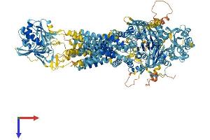 AlphaFold protein structure predicition of Mouse Recombinant Abca8b Protein, UniprotID Q8K440