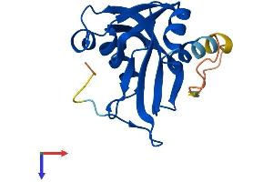 AlphaFold protein structure predicition of Human Recombinant NUDT3 Protein, UniprotID O95989