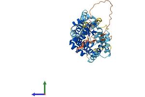 AlphaFold protein structure predicition of Mouse Recombinant Slc25a46 Protein, UniprotID Q9CQS4