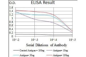 Black line: Control Antigen (100 ng), Purple line: Antigen(10 ng), Blue line: Antigen (50 ng), Red line: Antigen (100 ng),